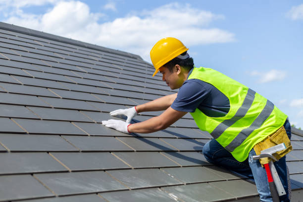 Best Residential Roofing Contractor  in Roscoe, IL