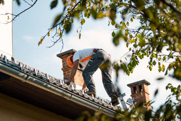 Best Tile Roofing Contractor  in Roscoe, IL