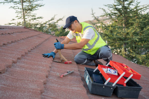 Best Storm Damage Roof Repair  in Roscoe, IL